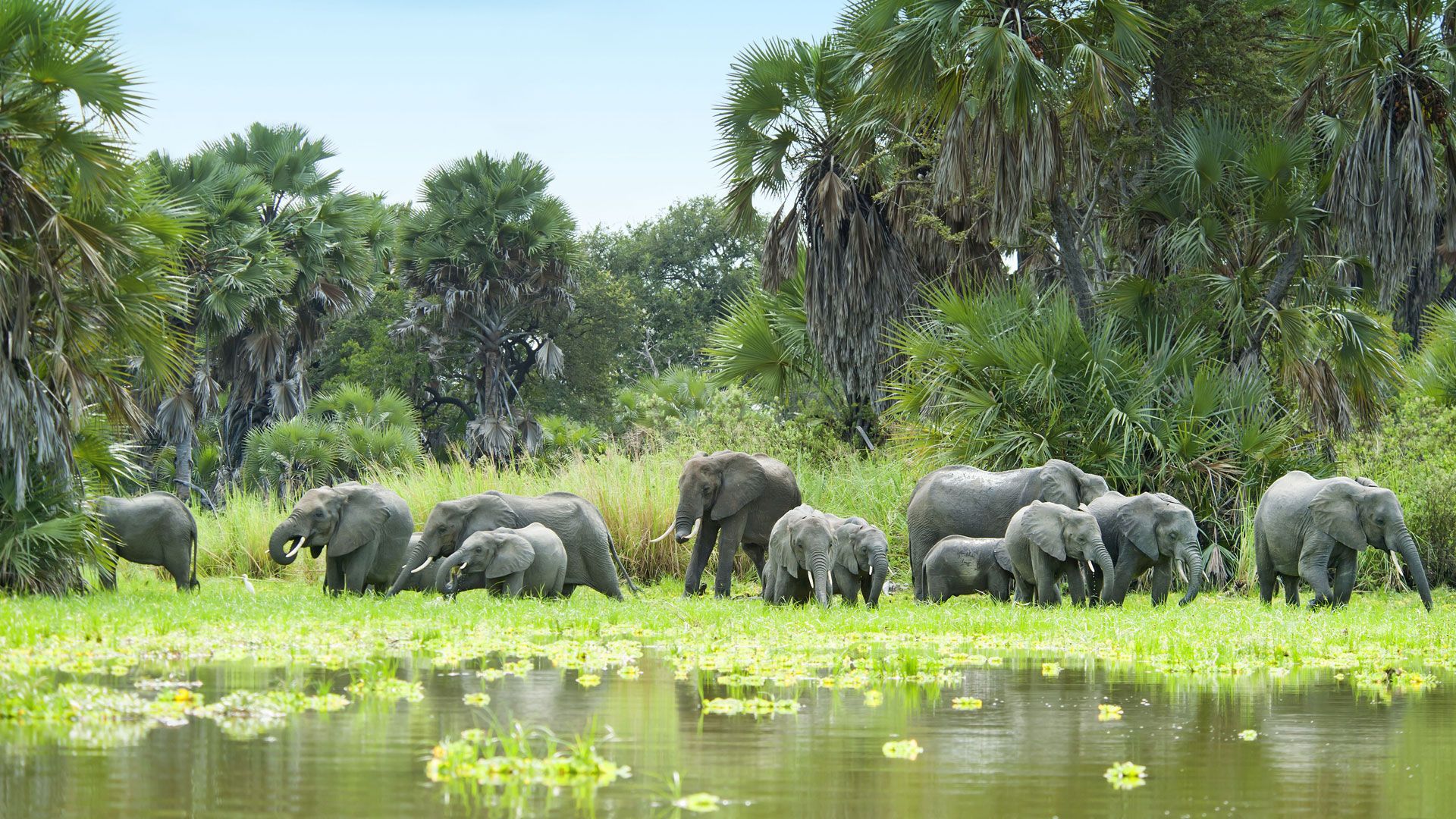 Selous-Game-Reserve