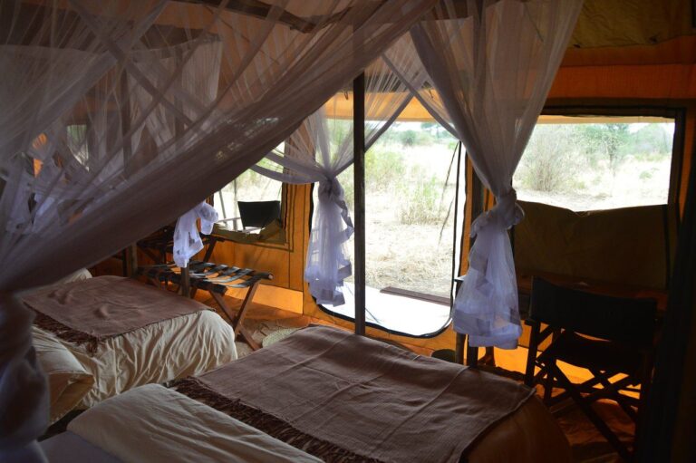 Baobab-Tented-Camp