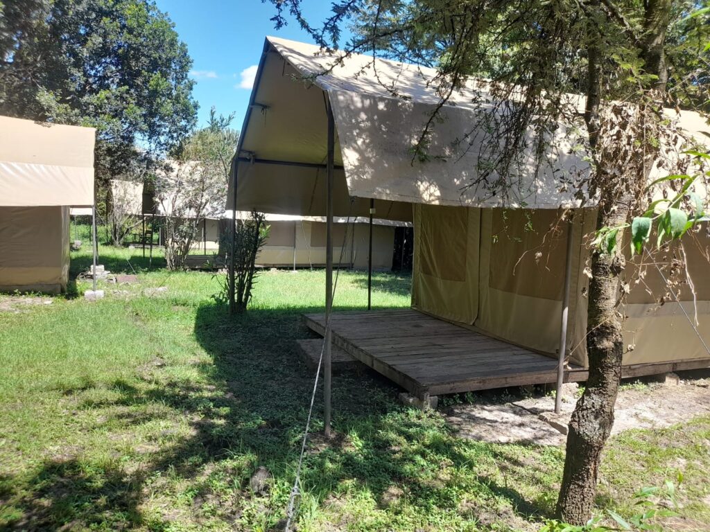 Enchoro Wildlife Camp Masai Mara