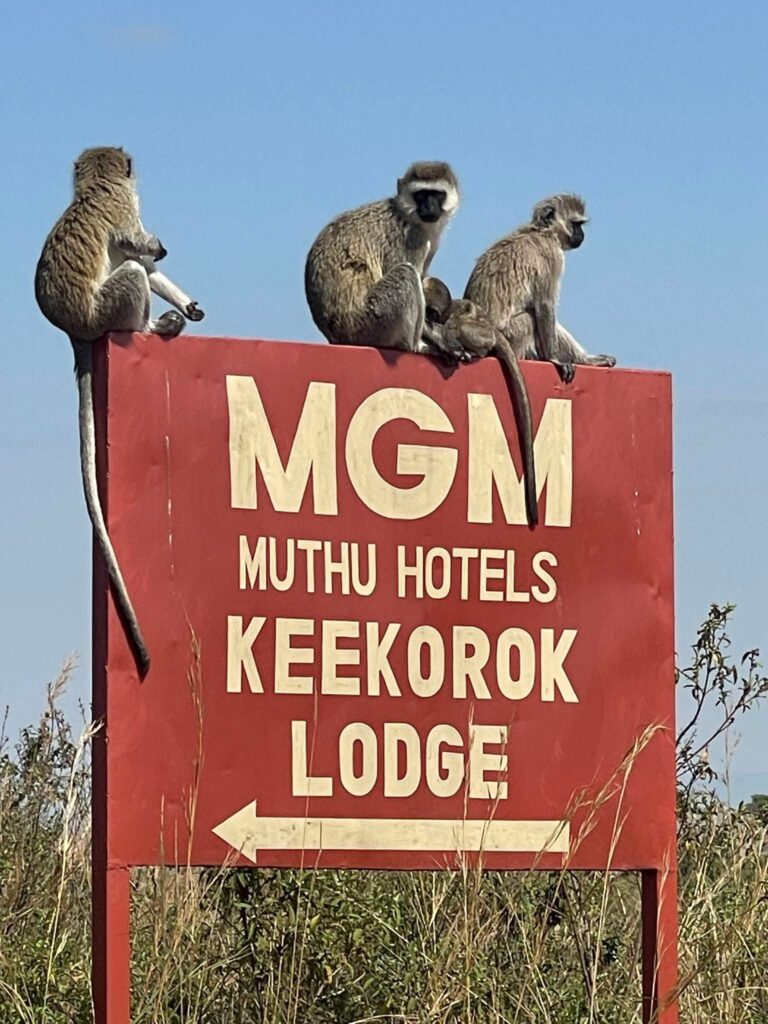 Muthu Keekorok Lodge Maasai Mara