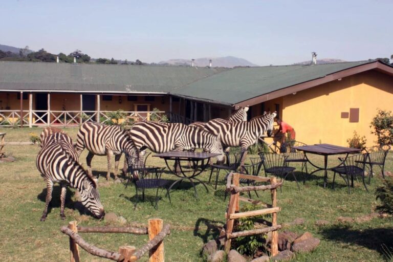 Ngorongoro-Rhino-Lodge