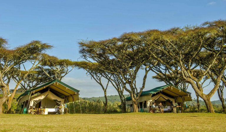 Ngorongoro-Wild-camp