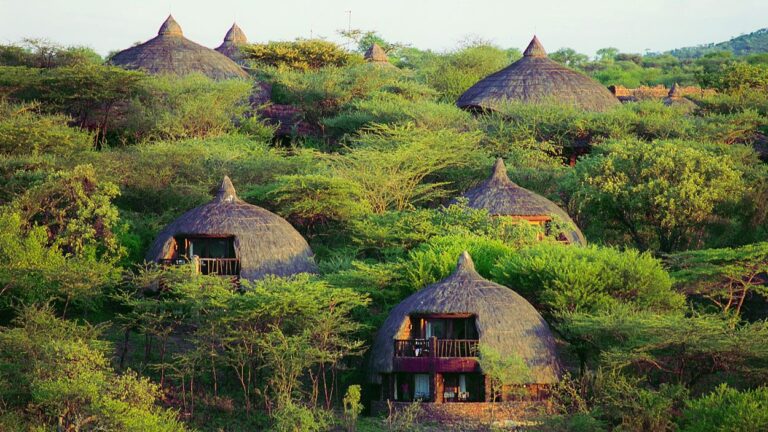 Serengeti-Serena-Safari-Lodge