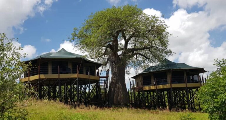 Tarangire-Kuro-Treetops-Lodge