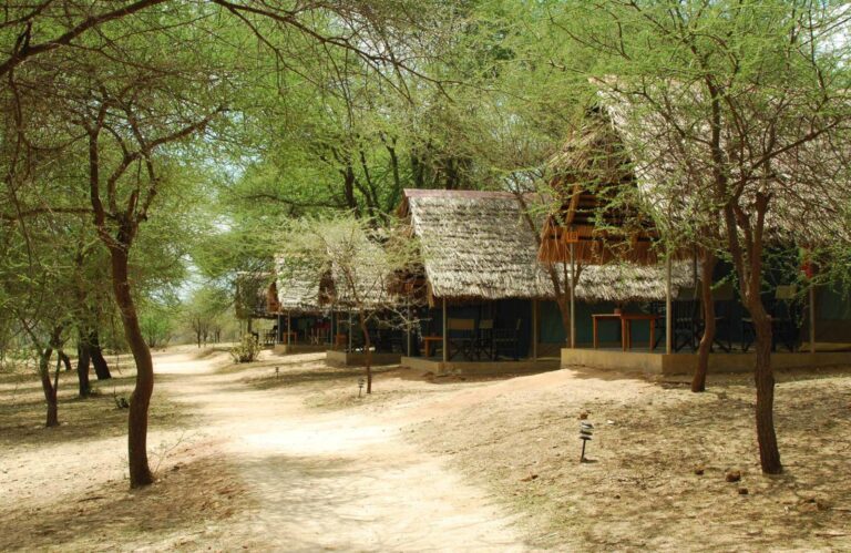 Tarangire-Safari-Lodge