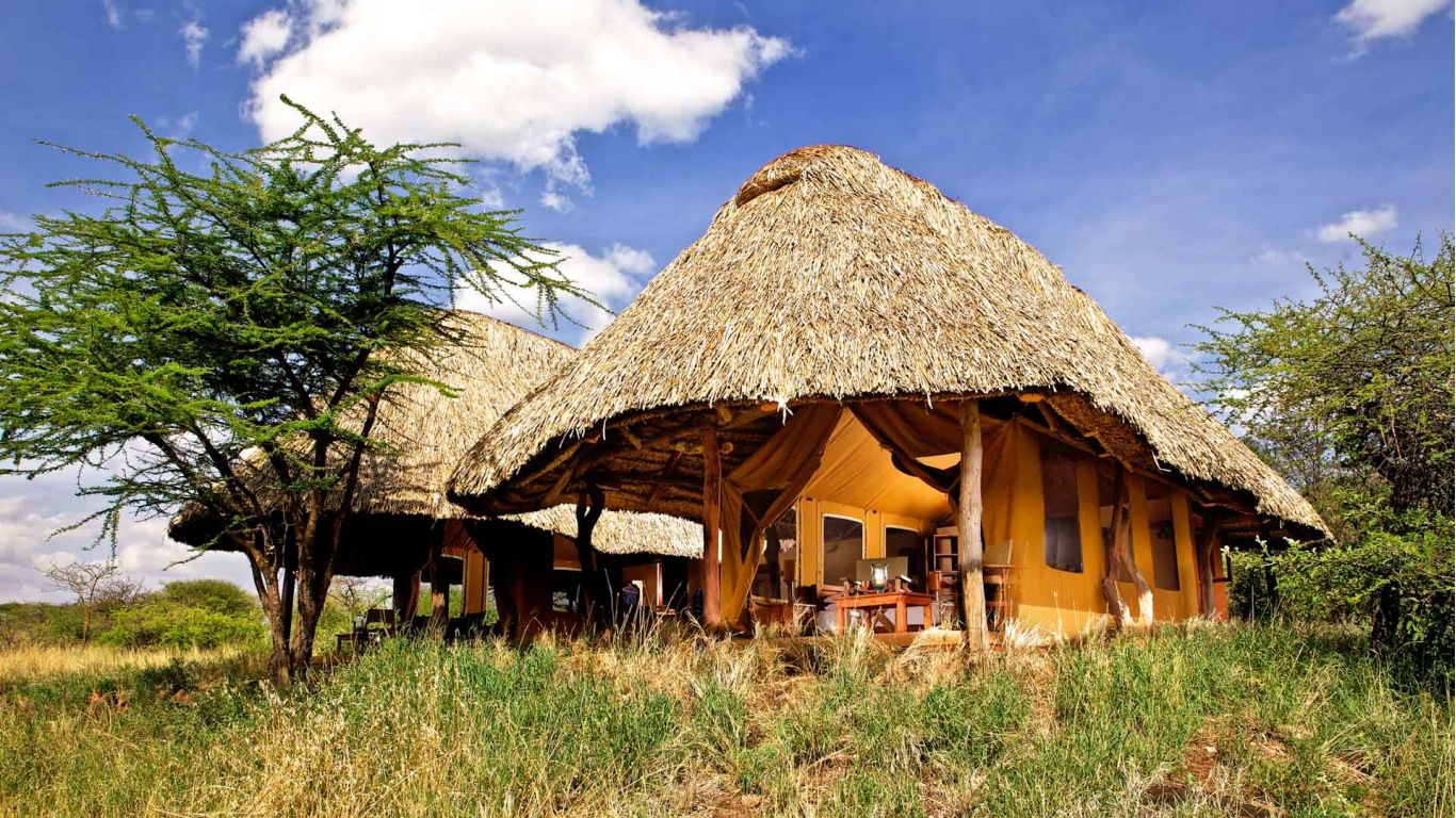 lewa safari camp