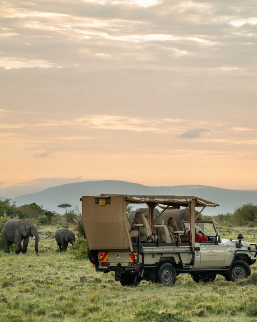 game drives at mahali mzuri