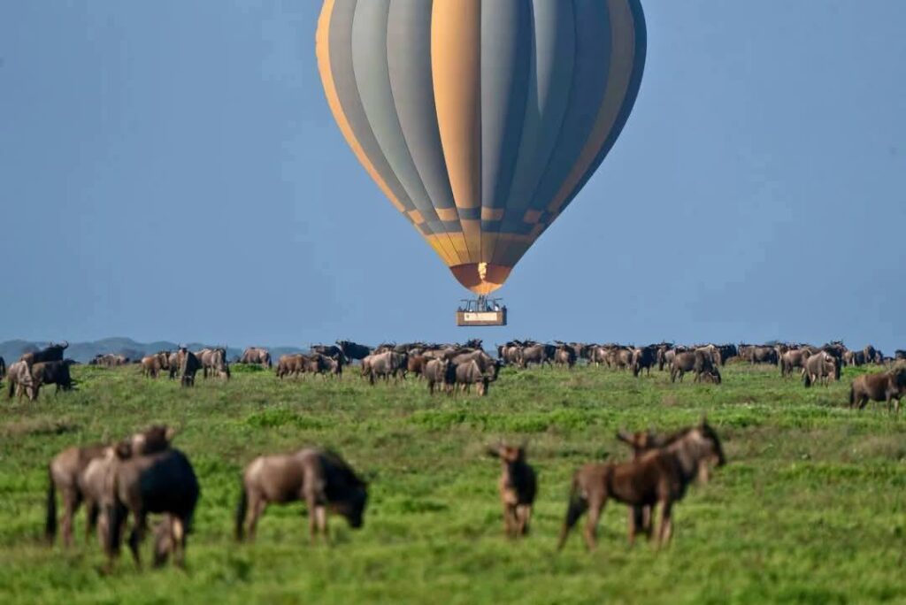 hot air balloon safari at Governors' Camp in Masai Mara