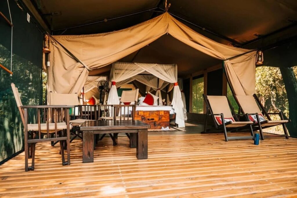 mara bush camp masai mara
