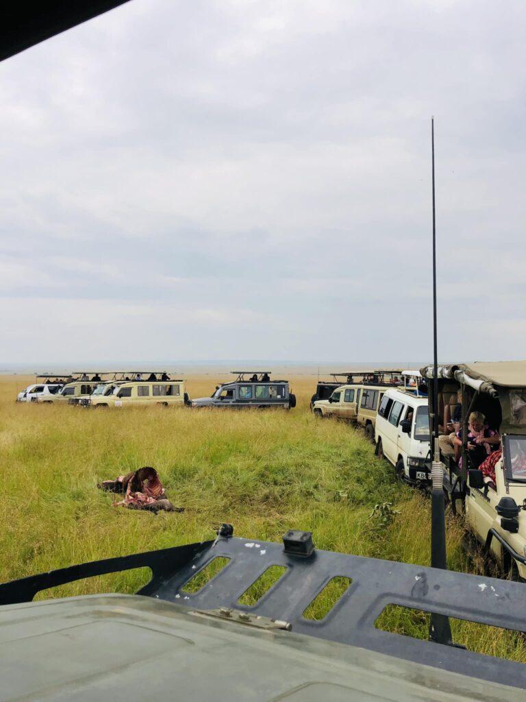 wildbeest migration scenes while staying at Muthu Keekorok Lodge Maasai Mara