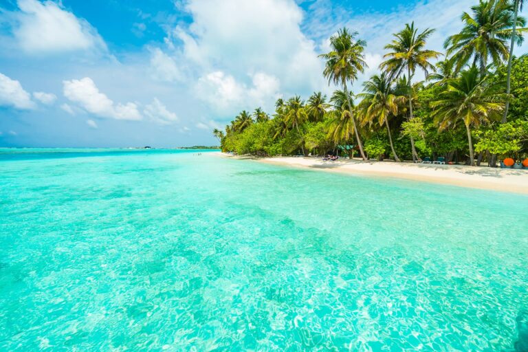 Plan unforgettable Zanzibar Summer Vacation Holidays with Twinkle Star Tours & Safaris. Discover the best beaches, luxury resorts, island tours, travel tips, and holiday packages.