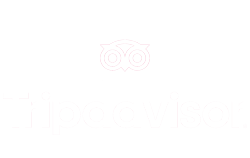 Trip advisor Logo