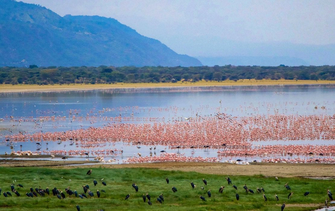 Lake Manyara National Park