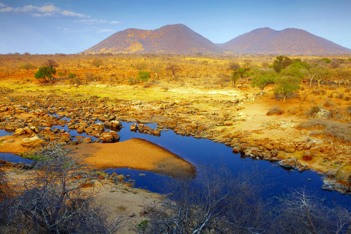 Ruaha National Park Landscape