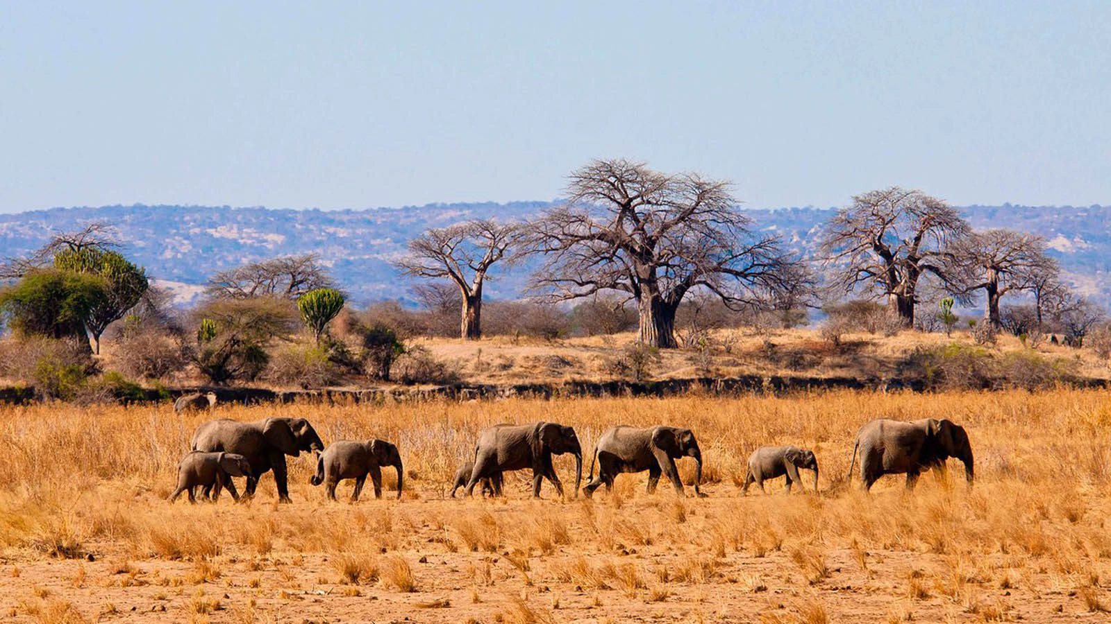 Tarangire National Park