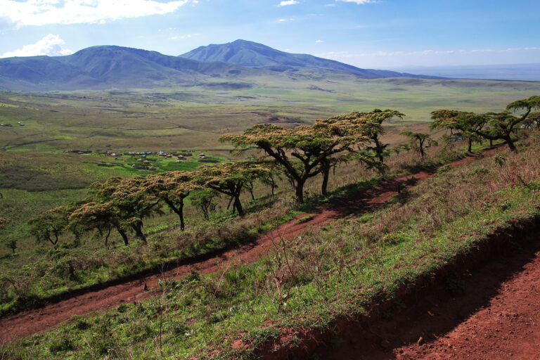 Safari in Kenya and Tanzania, Africa