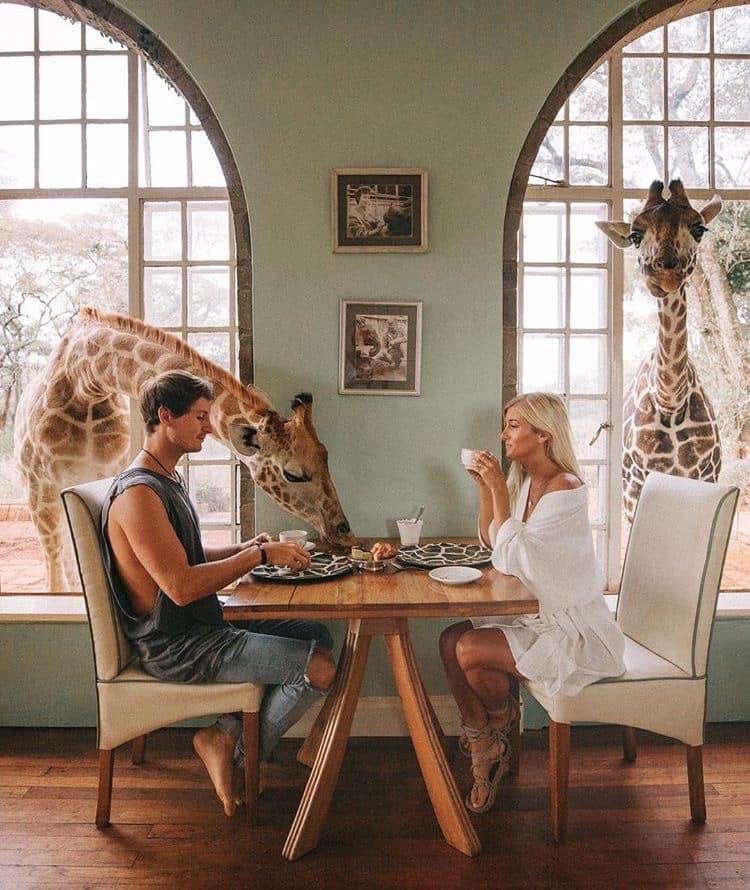 elegant guests enjoying breakfast at Giraffe Manor while curious giraffes poke their long necks through the windows of a stately colonial manor