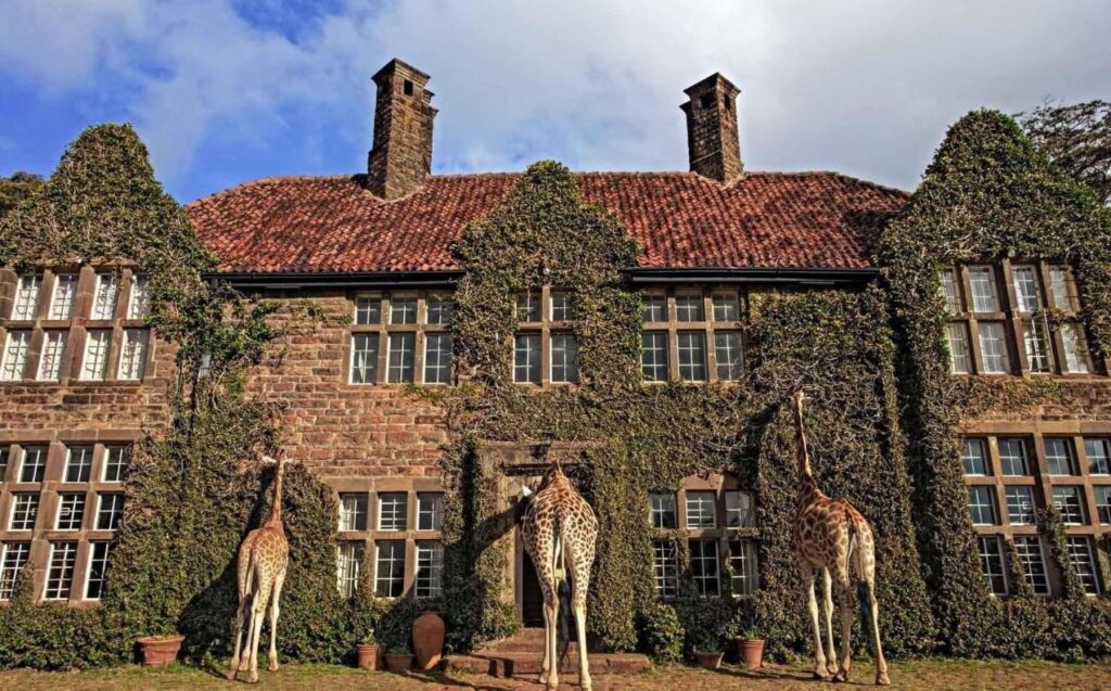 giraffe manor kenya