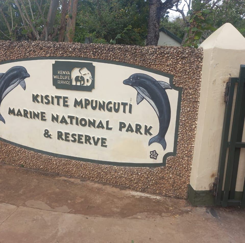 kisite mpunguti marine national park and reserve