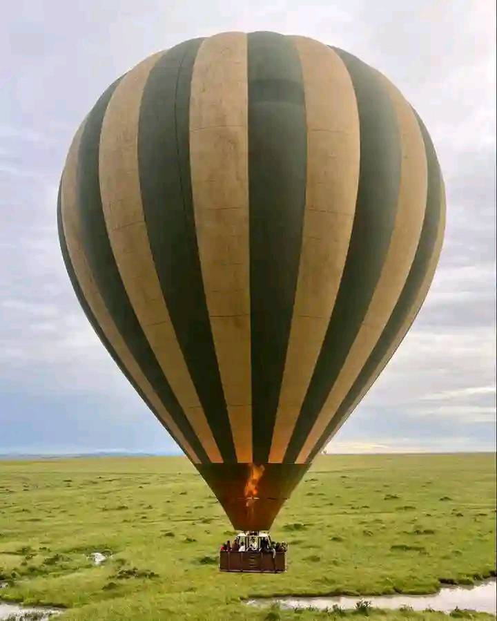 Watching the landscape and wild animals from a hot air balloon