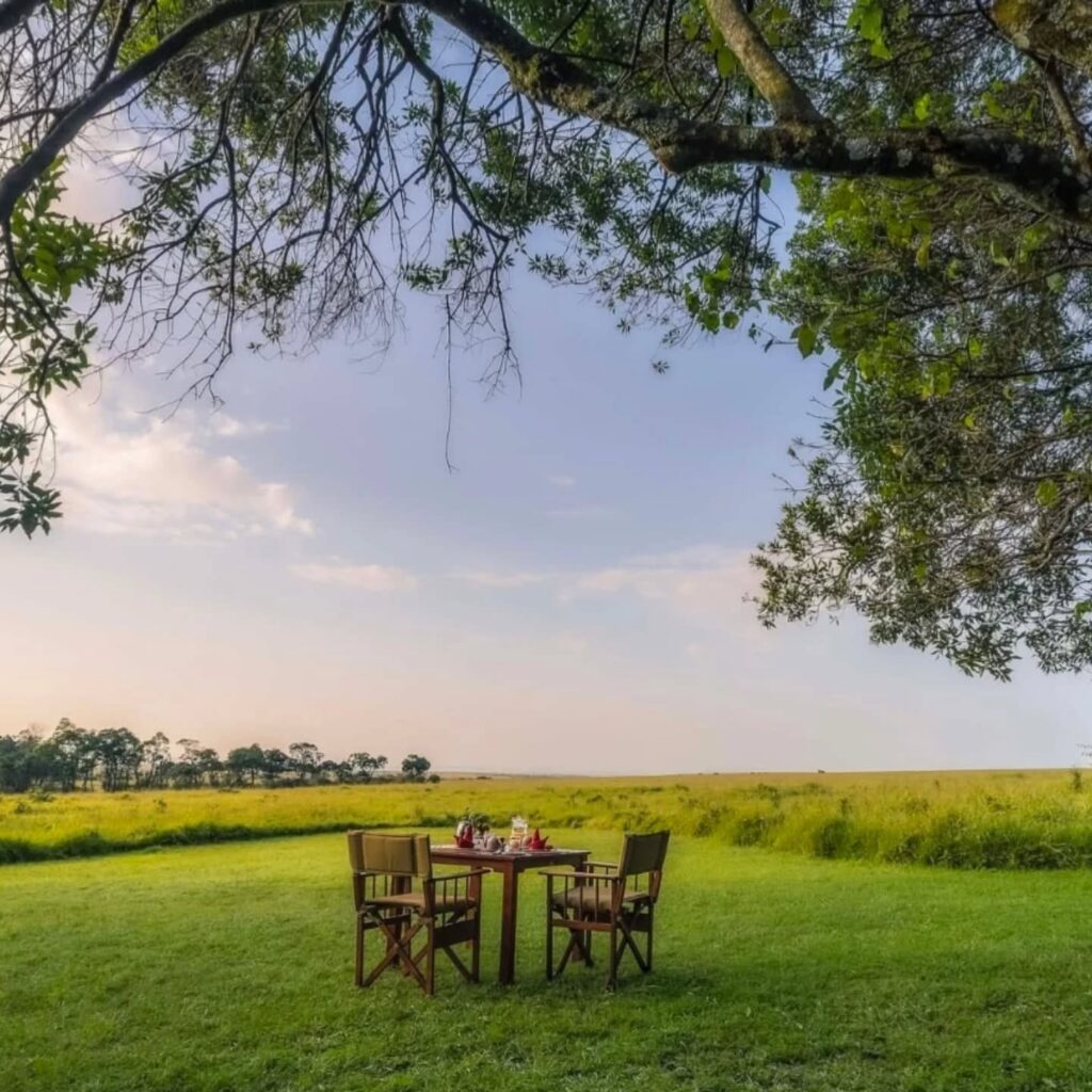 Morning Breakfast at Elewana Elephant Pepper Camp Masai Mara