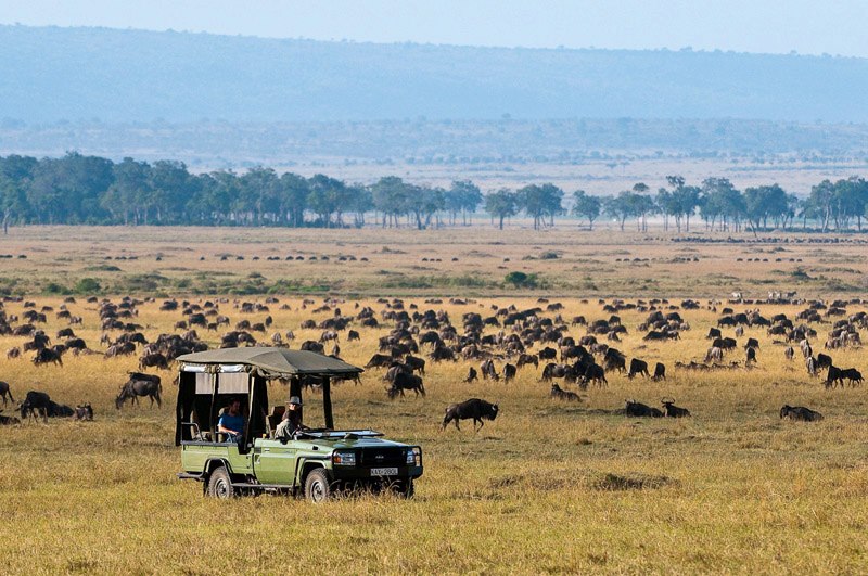 Tourists watching the migration just closeby in mara Plains Camp at the heart of Masai mara