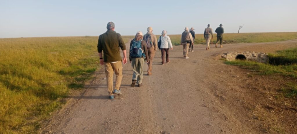 guided tour walks at elephant Pepper Camp in Masai Mara