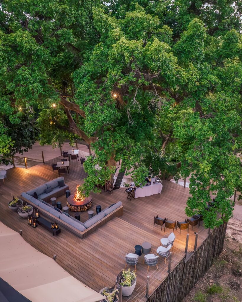 fig tree deck at JW Marriott Masai Mara Lodge