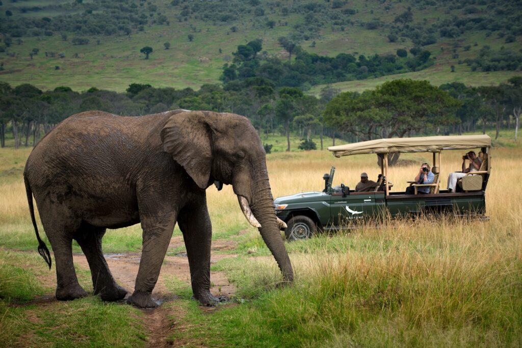 game drives at AndBeyond Bateleur Camp