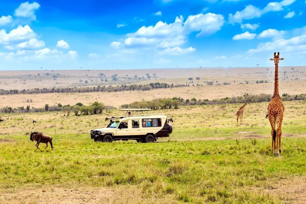 game drives at Elewana Sand River Masai Mara camp