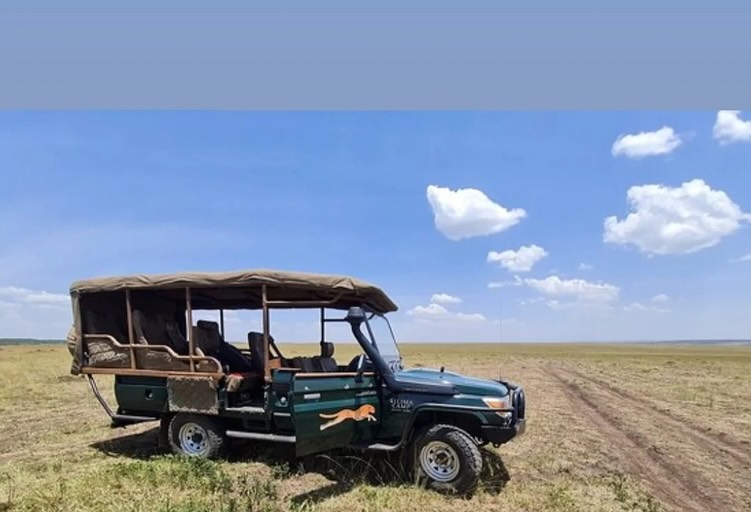 game drives at Kilima Camp Masai Mara