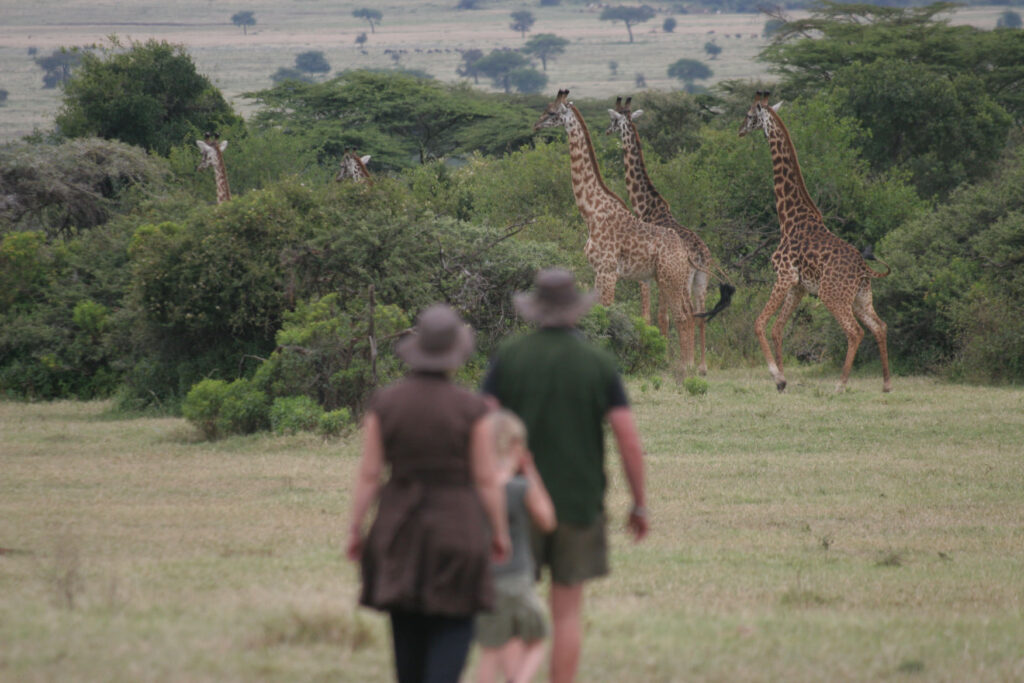 guided bush walks at saruni mara lodge