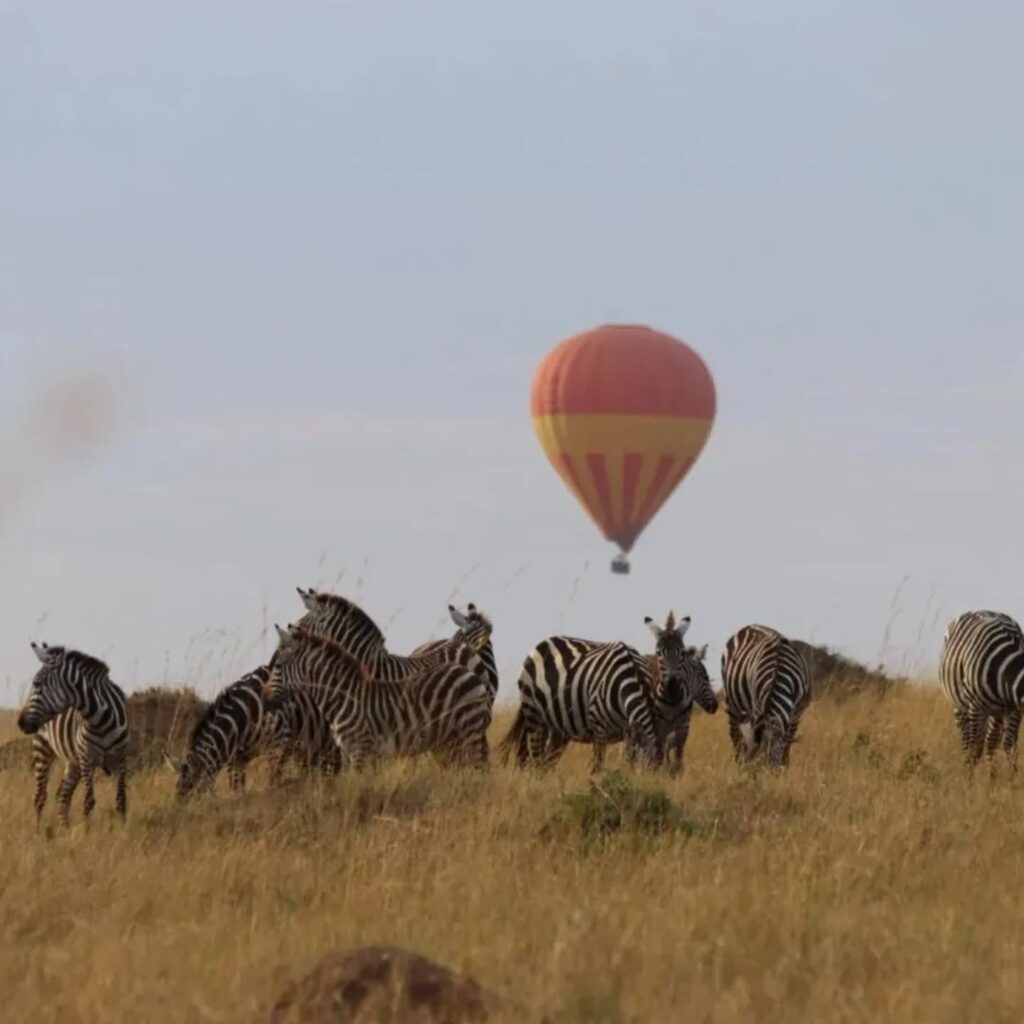 hot air ballon acivity in Alama Camp Mara