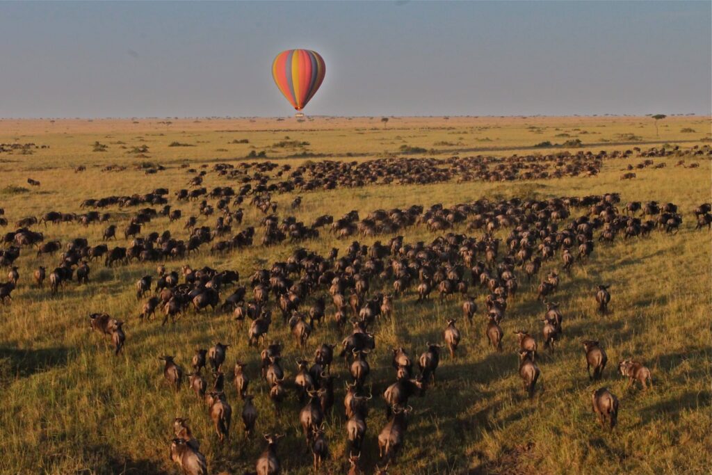 hot air ballooning at saruni mara lodge