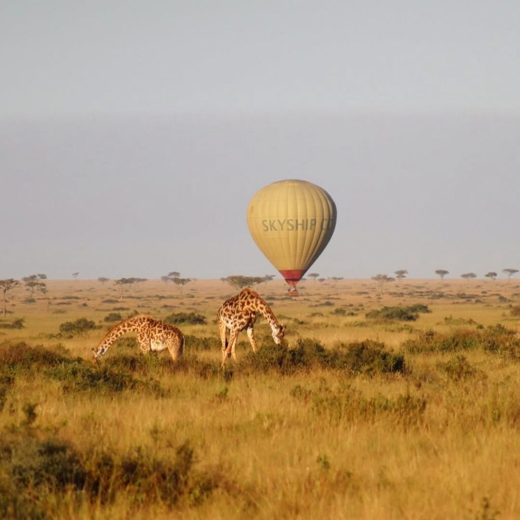 hot airballon safari at masai mara during a stay at mara river camp