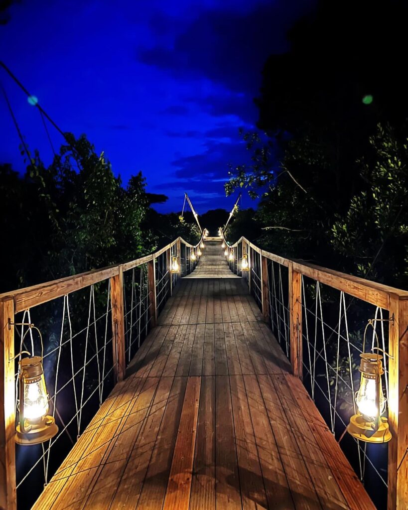 spectacular views to luxurious accommodations at JW Marriott Masai Mara Lodge