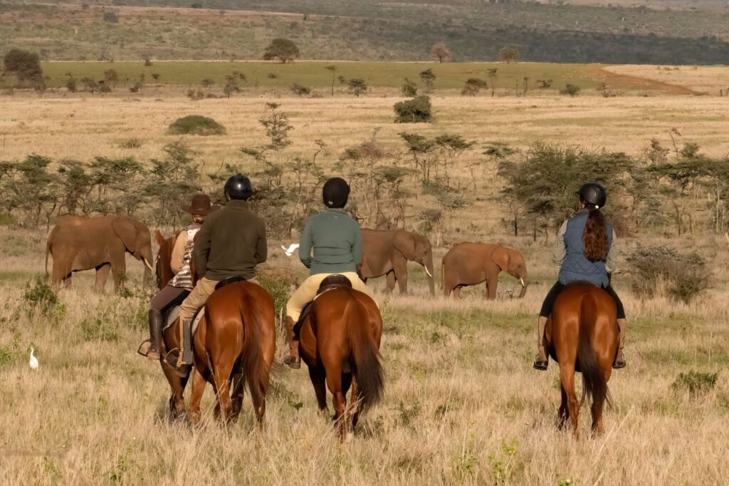 why visit africa top reasons to visit africa