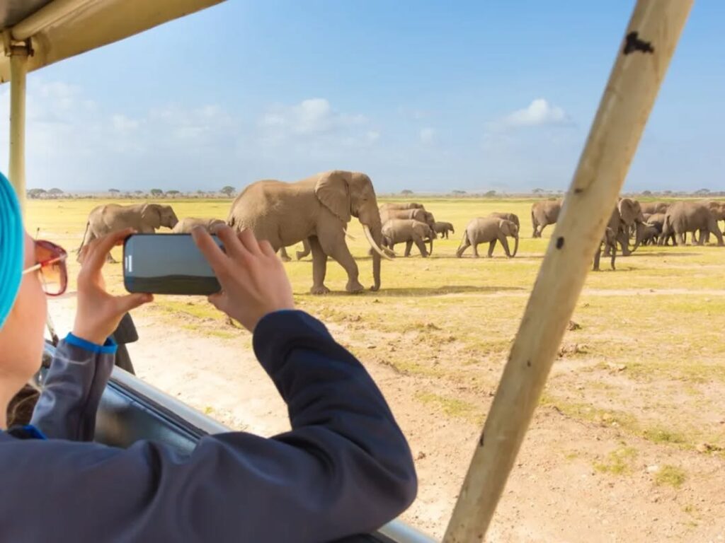 game drives at Zebra Plains Mara Camp