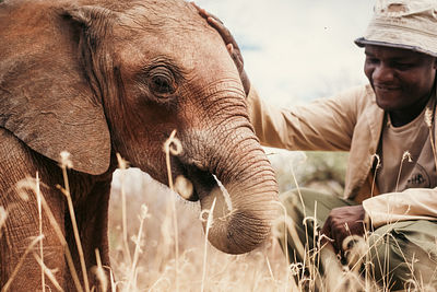 David Sheldrick Elephant Orphanage Nairobi city tours excursions