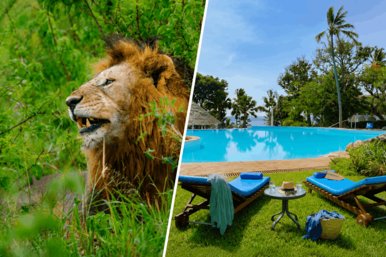 Kenya safari and beach holidays-Nairobi to Mombasa and Diani Beach Kenya Safaris by Twinkle Star Tours