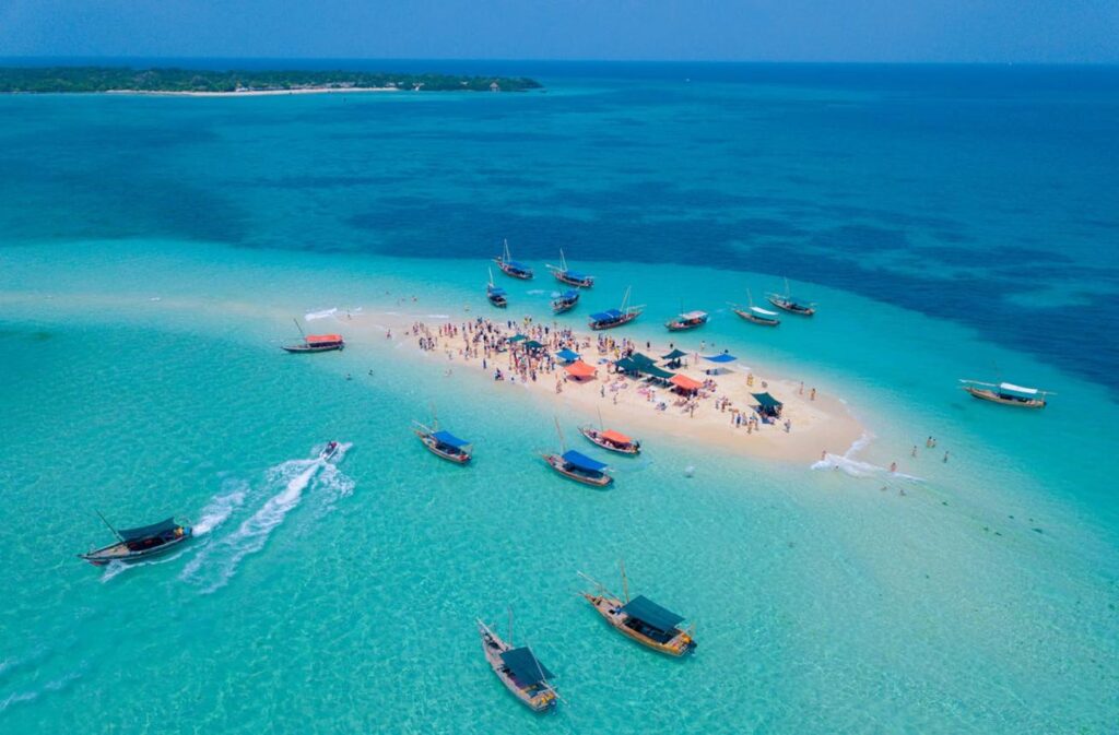 Safari Blue Zanzibar