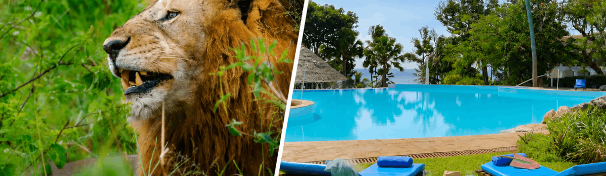 Kenya safari and beach holidays-Nairobi to Mombasa and Diani Beach Kenya Safaris by Twinkle Star Tours