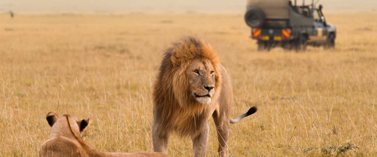 Oloisukut Conservancy Masai Mara - book Kenya family safari with Twinkle Star Tours