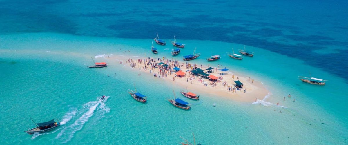 Safari Blue Zanzibar